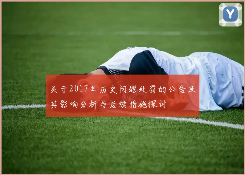 关于2017年历史问题处罚的公告及其影响分析与后续措施探讨